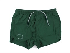 Liewood swim shorts Aiden UPF 40+ garden green